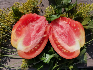 Советские сорта томатов, их семена.