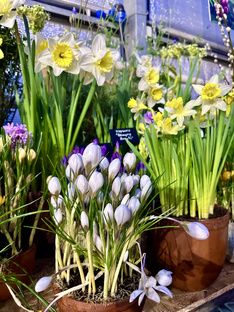 Весна в Москве 