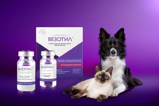 Отзывы про Везотил