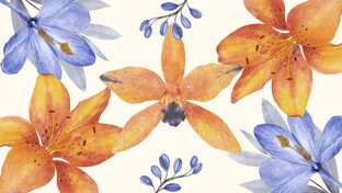 Литературный календарь 