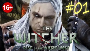 The Witcher Rise of the White Wolf