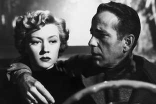 В свете нуара