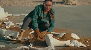 Шоу «Выжить в...»