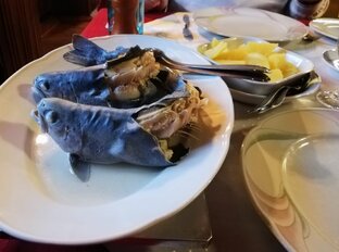 Германия . Часть первая