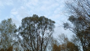 Осень в Москве и Подмосковье