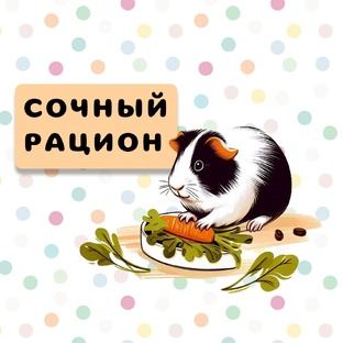 Сочный рацион морских свинок