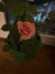 Детские истории