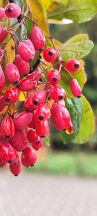 Октябрь 2025г