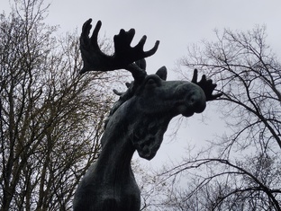 Поездка в Выборг, май 2025