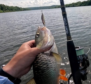 Ловля Голавля и Жереха