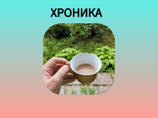 Хроника моих дней