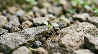 Путь к финансовой свободе