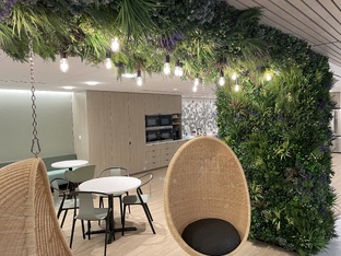 Искусственное озеленение