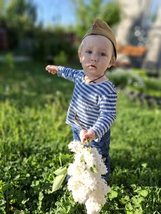 Цветущие кустарники в саду.