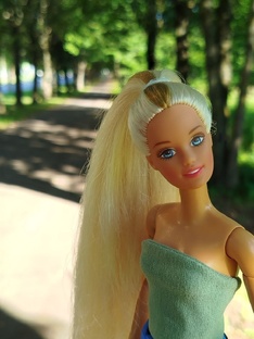 все прогулки