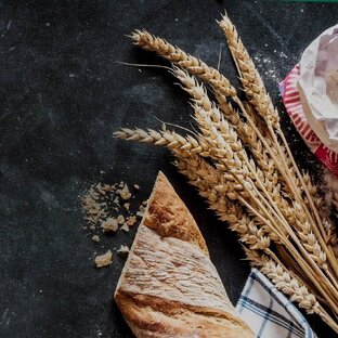 Пищевой блог