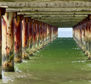 Истории про побережье