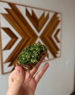 Быстрые рецепты