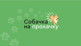 СОБАЧКА НА ПРОКАЧКУ