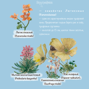 Заметки по ботанике, зоологии, географии 
