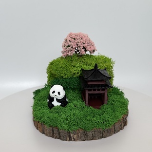 Зеленая гармония: Интерьерные композиции из стабилизированного мха