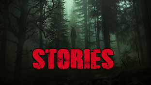 Истории