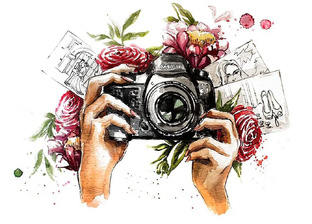 Подборка моих фотографий природы, животных, насекомых, птиц, цветов . 