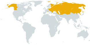 Бывшие территории России