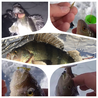 Необычный способ подледной ловли. Сезон 2023-2024