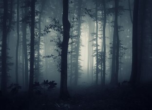 #СТРАШНЫЕИСТОРИИОТНЕЙРОСЕТИ