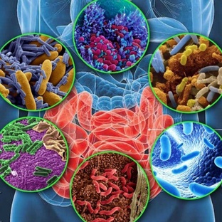 Медицинский центр Аксономед в Октябрьском