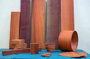 Свойства древесины