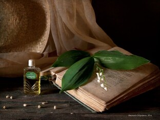 Моя Родина-СССР. Экономика. Мои Взгляды.