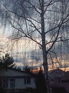 Статьи про все 