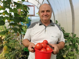 Огородные дела