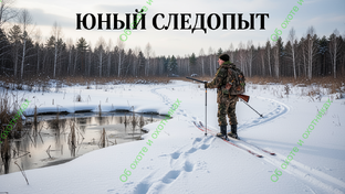 Юный следопыт или ребятам о зверятах
