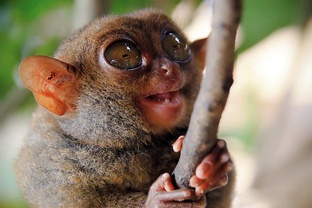 Интересные факты 