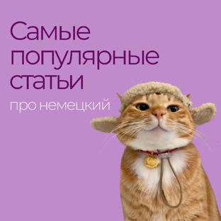 Самые популярные статьи