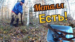 Металлокоп в лесу,коп металлолома с металлоискателем. 