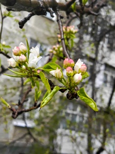 Дачный марафон Урал 2025