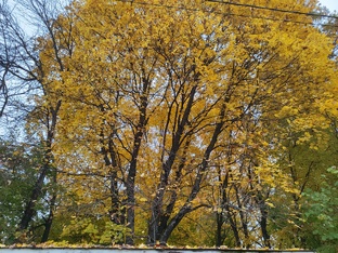 поездка в Москву и Подмосковье осенью 2025