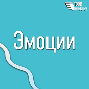 Чувства и эмоции: искусство управления и принятия
