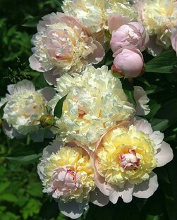 💖🎁🌺 С Днём рождения.