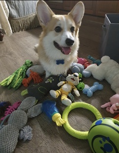 игрушек много небывает 