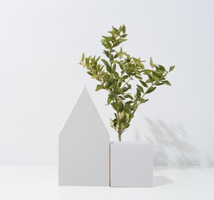 Где выгоднее жить?