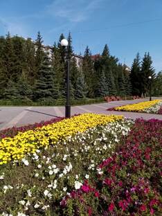 Музыкальные видео и слайды