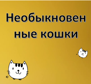 Кошки удивляют