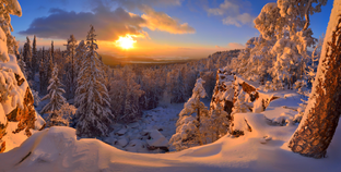 Сибирская природа