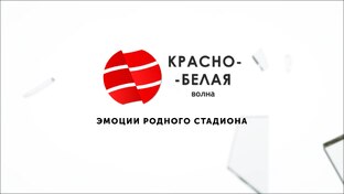 «Эмоции Родного Стадиона»