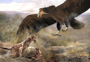 Про животных